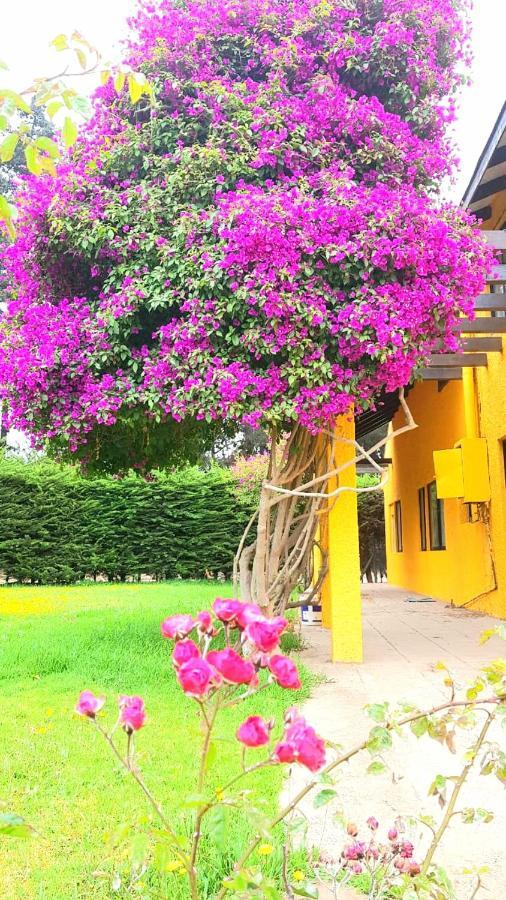 Penzion Casa Felice La Serena Exteriér fotografie