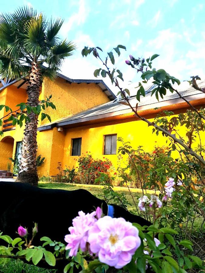 Penzion Casa Felice La Serena Exteriér fotografie