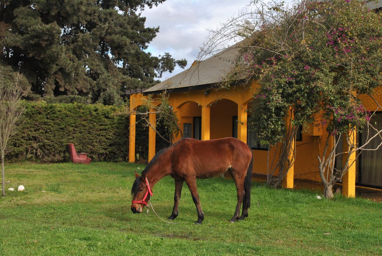 Penzion Casa Felice La Serena Exteriér fotografie